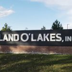 Land O'Lakes delivers a profit for its dairy unit that, like the industry, has been strained