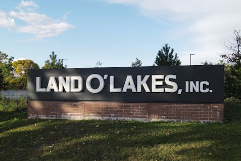 Land O'Lakes delivers a profit for its dairy unit that, like the industry, has been strained