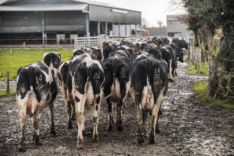 Not enough milk and too much capacity means co-ops face another difficult year