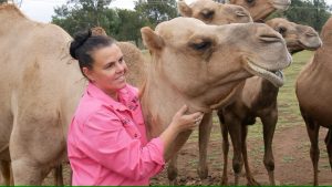 Only camel dairy in NSW run by Hunter Valley farmer Michelle Phillip near Muswellbrook