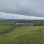 Organic dairy and tillage farmer to host farm walk