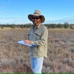 Pasture dieback research offers hope as mealybugs spread and devastate grazing land