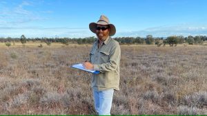 Pasture dieback research offers hope as mealybugs spread and devastate grazing land