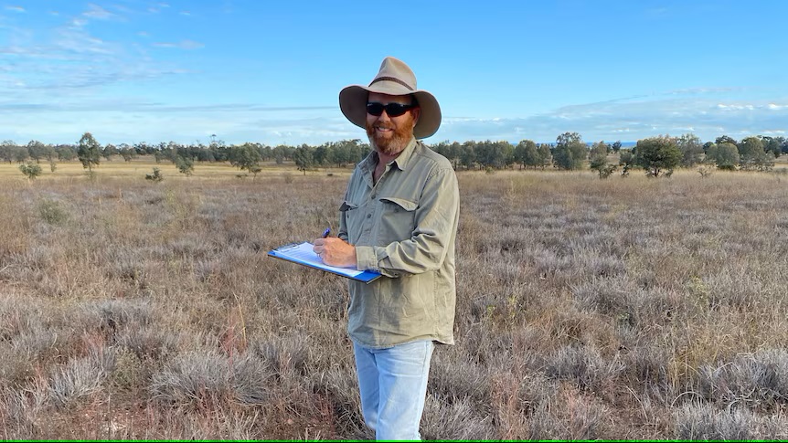 Pasture dieback research offers hope as mealybugs spread and devastate grazing land