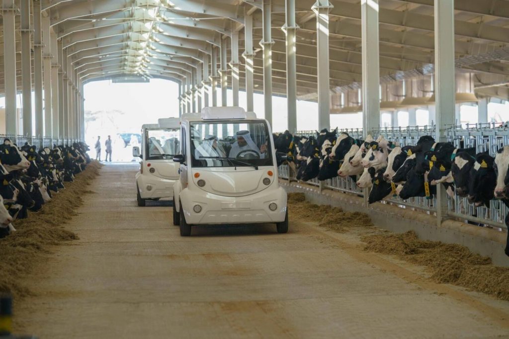 Sharjah Ruler launches first phase of Mleiha dairy farm