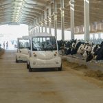 Sharjah Ruler launches first phase of Mleiha dairy farm