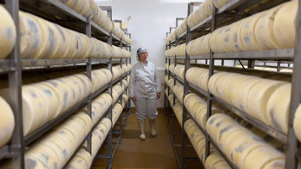The secret ingredient in Taranaki's award-winning cheeses
