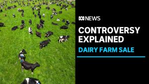 Van Dairy pulls pins as last slice of once-vast Tasmanian dairy farm Woolnorth put up for sale
