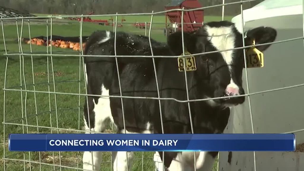 Wisconsin farmers highlight network for women in the dairy industry