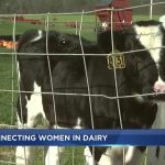 Wisconsin farmers highlight network for women in the dairy industry