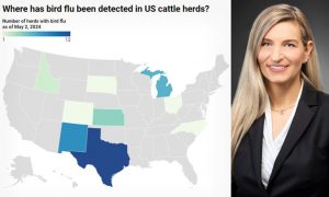 America's top bird flu expert reveals why she's worried