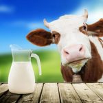 Dairy producers celebrate Maine Dairy Month