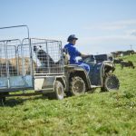 DairyNZ looks at the science of on-farm injuries