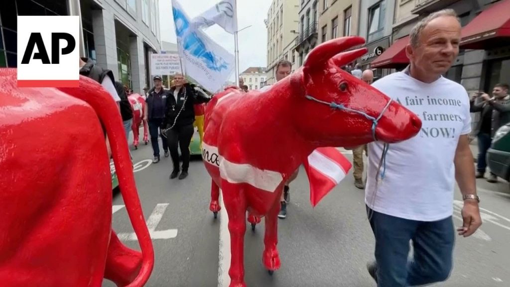 European dairy farmers wheel plaster cows through Brussels to demand 'fair' milk prices