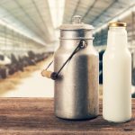 Global dairy price recovery set to be slower than expected, but outlook remains positive – Rabobank