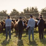 Helping new grads step up into dairy