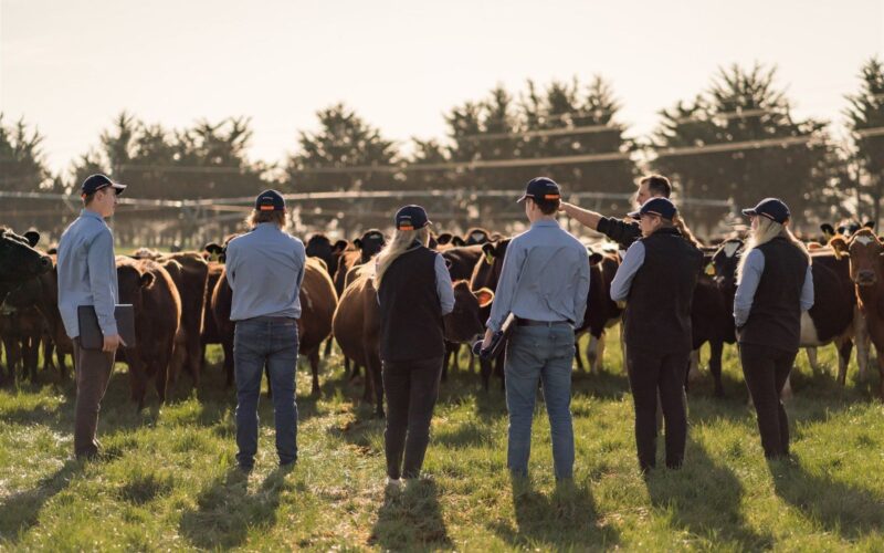 Helping new grads step up into dairy