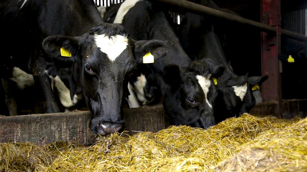 Milk Price Tracker Calls for 42cL for March supplies – ICMSA