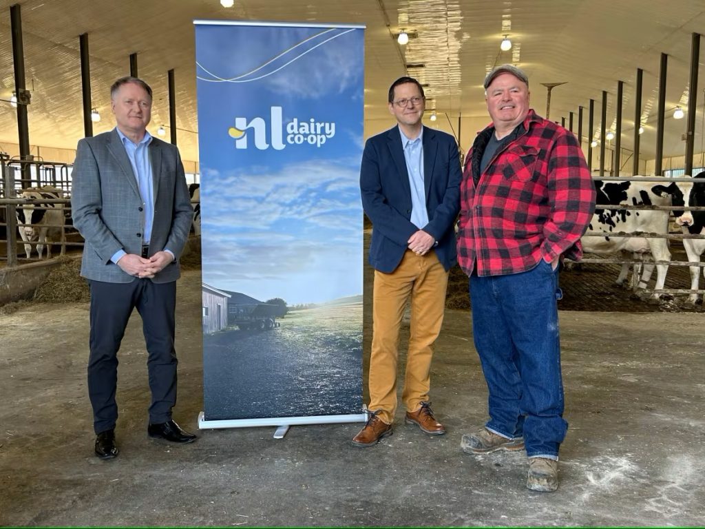 Milk like no udder N.L. dairy farmers launch co-op to localize sector