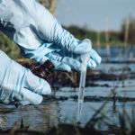 Monroe County fish kill traced to dairy farm manure spill