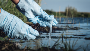 Monroe County fish kill traced to dairy farm manure spill