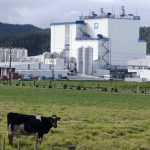 NZ dairy processors want Canada to respect rules