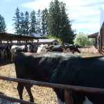 Probably a little overkill Farmer raises concerns on how to follow new rules