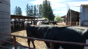 Probably a little overkill Farmer raises concerns on how to follow new rules