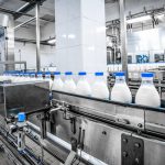 Slow and Steady Price Increases in Global Dairy Report