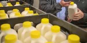 USDA reports decrease in March milk production across major dairy states