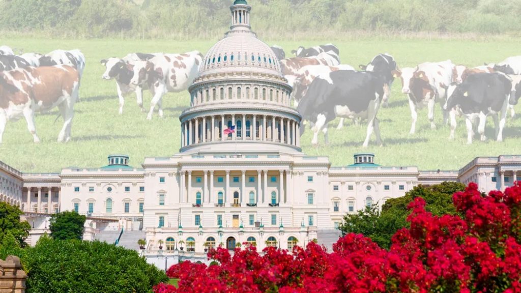 Ag In an Instant Path to next Farm Bill and National Dairy Month