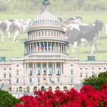 Ag In an Instant Path to next Farm Bill and National Dairy Month