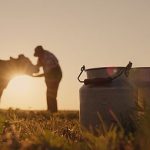 Assessing avian influenza in dairy milk