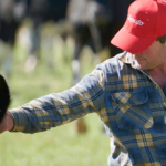 Aussie opening milk prices down the $8 line