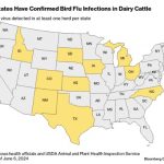 Bird Flu Triggers Supply Chain Snarls In Dairy Industry As Farmers Increasingly Culled Cows