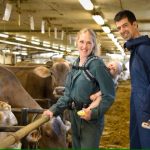 Canadian dairy farmers urged to consider goggles, gloves and other bird flu protections