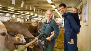 Canadian dairy farmers urged to consider goggles, gloves and other bird flu protections