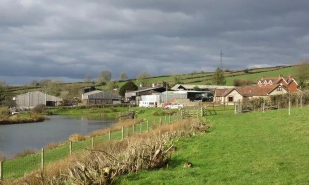 Council buying dairy farm for nature recovery