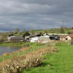 Council buying dairy farm for nature recovery