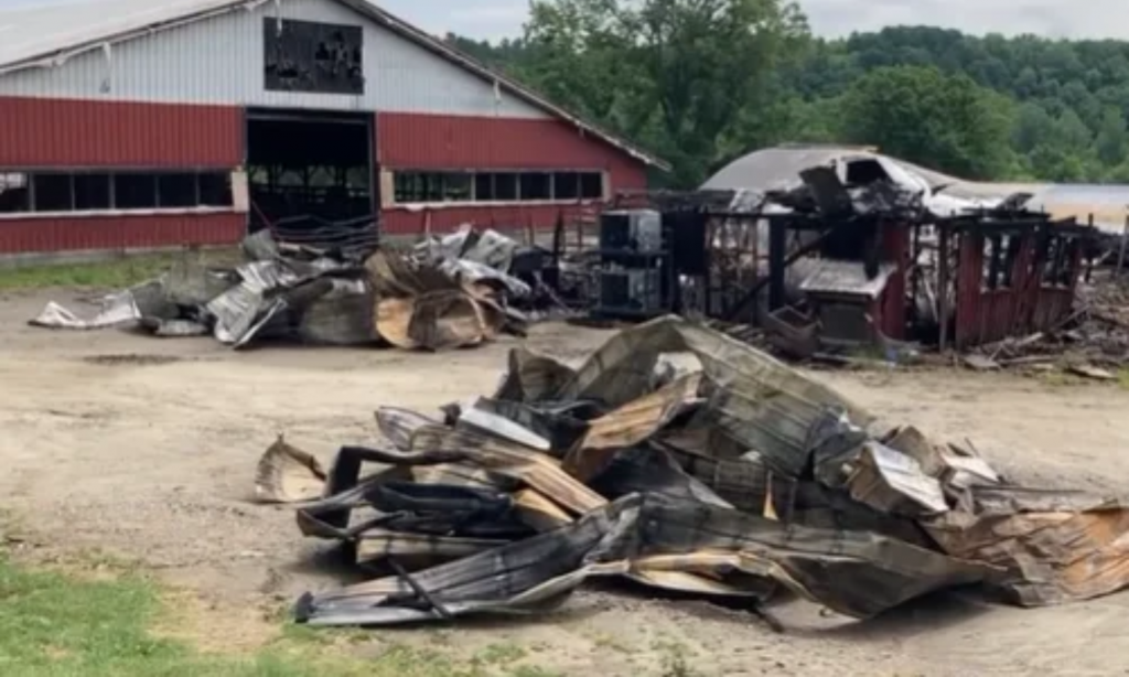 Dairy farm continues recovering after devastating weekend fire