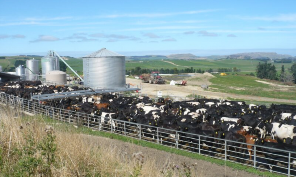 Dairy farm costs hit 10-year high