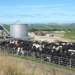 Dairy farm costs hit 10-year high