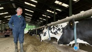 Dairy farmers owed £1.6m unlikely to be repaid