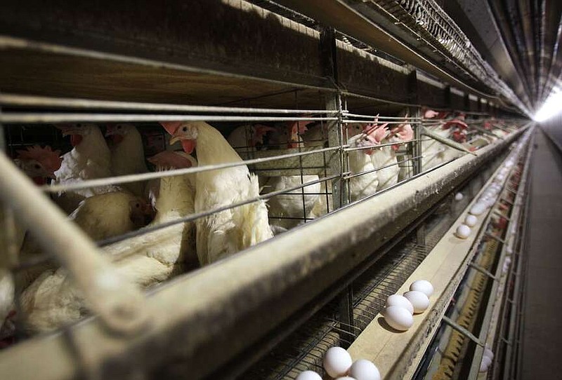 Dairy farms get bird flu map