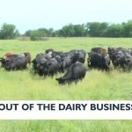 Dairy industry dries up for one Kansas farmer