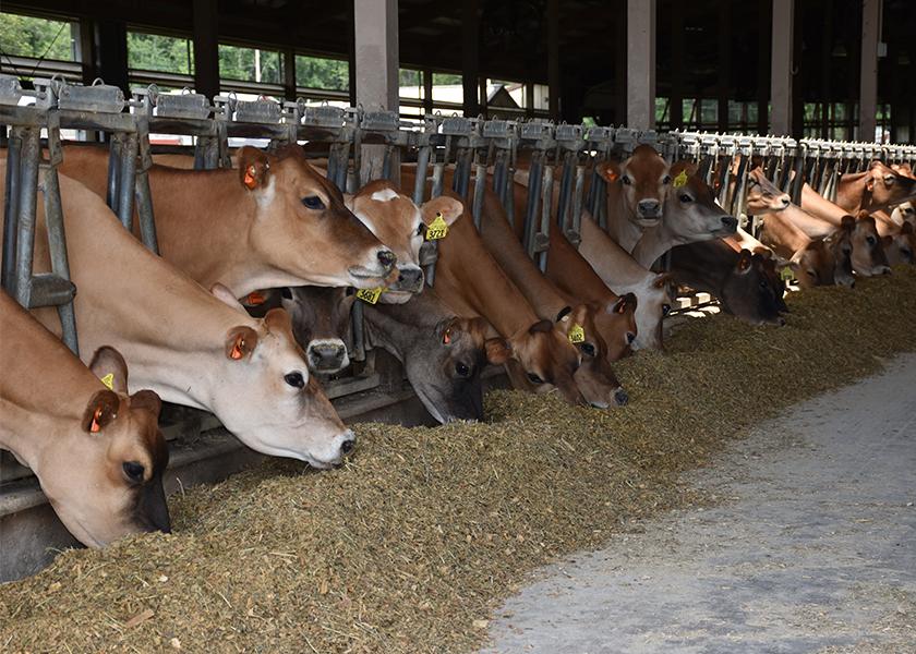 Expert Shares the Scoop on Dairy Market Movements and Seasonal Demand