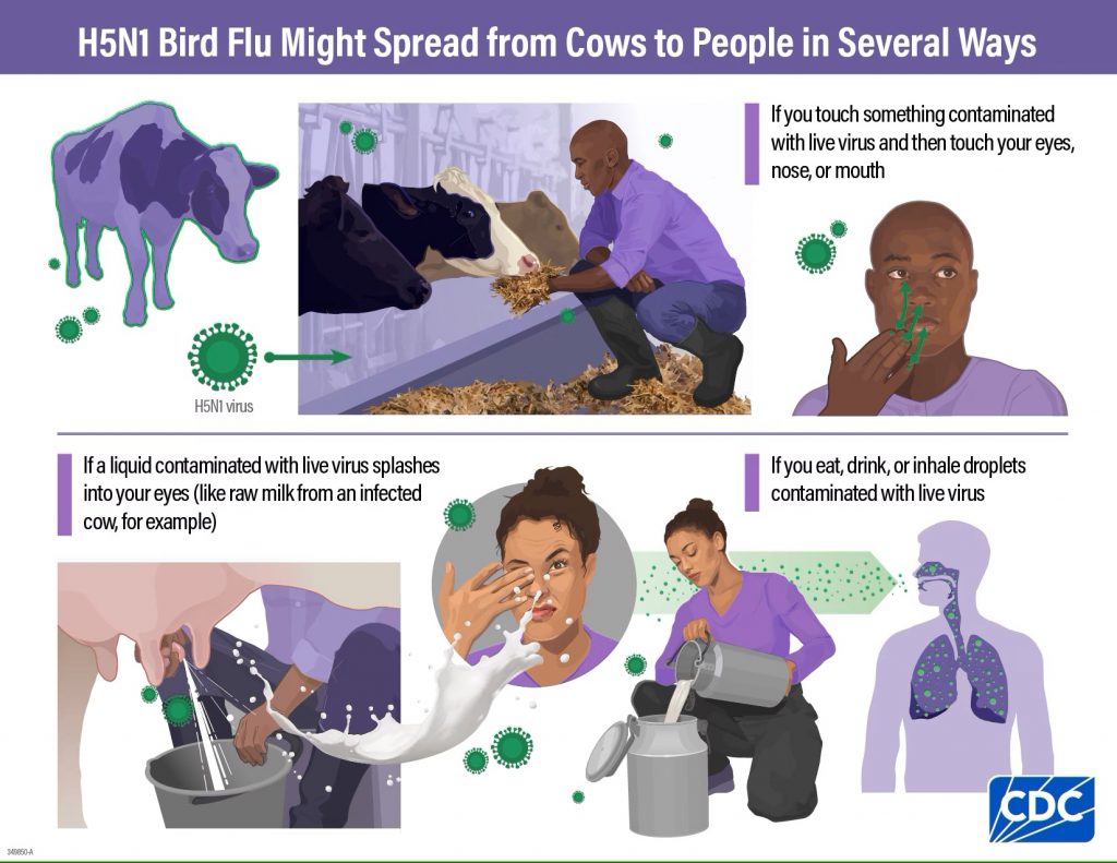 Farmers and Dairy Workers Avian Influenza FAQ