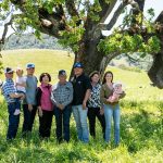 How California dairy farms prioritize sustainability, animal welfare and regenerative farming practices