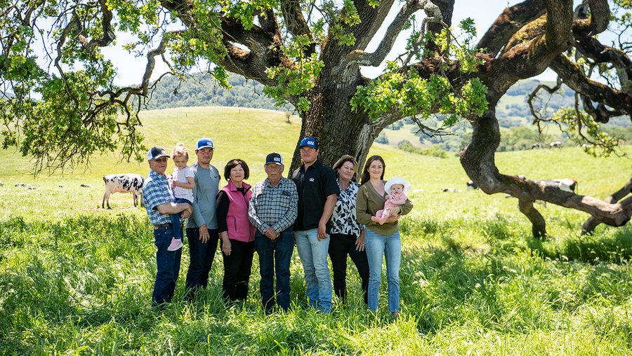 How California dairy farms prioritize sustainability, animal welfare and regenerative farming practices