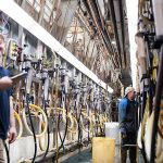 How dairy farms manage heat for their workers and cows